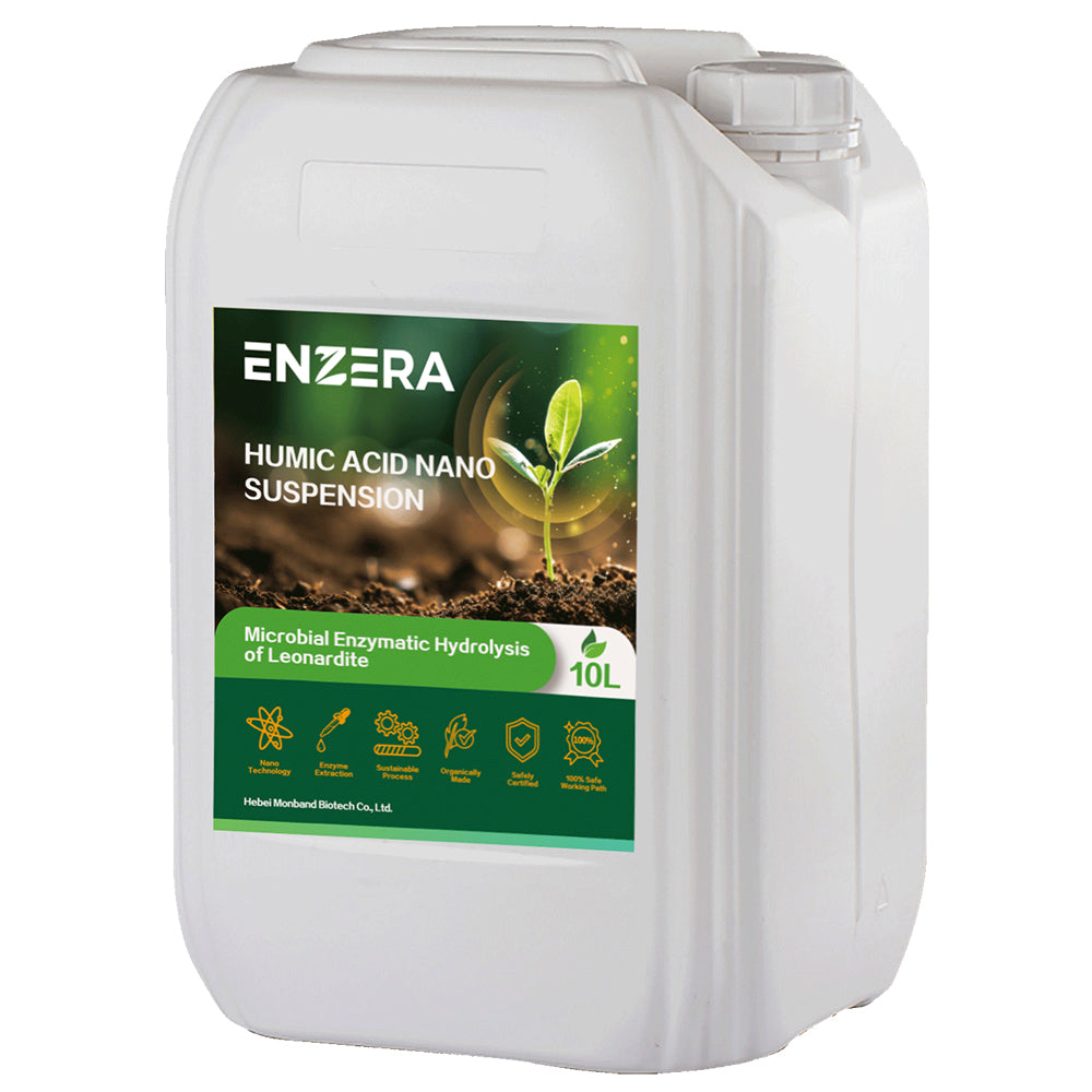 ENZERA 10L