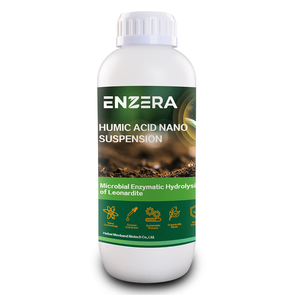 ENZERA 1L